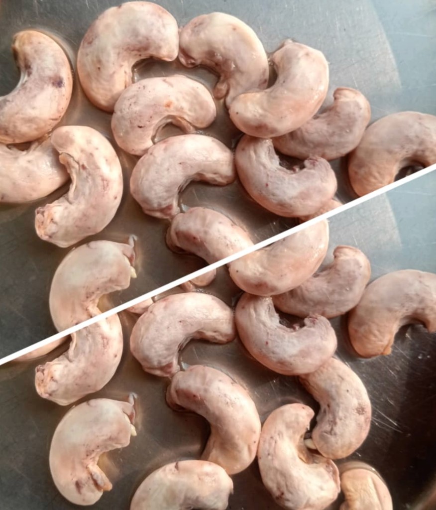 Farm fresh cashews
